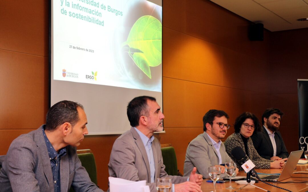 Roundtable on the relevance of sustainability information for the accounting profession
